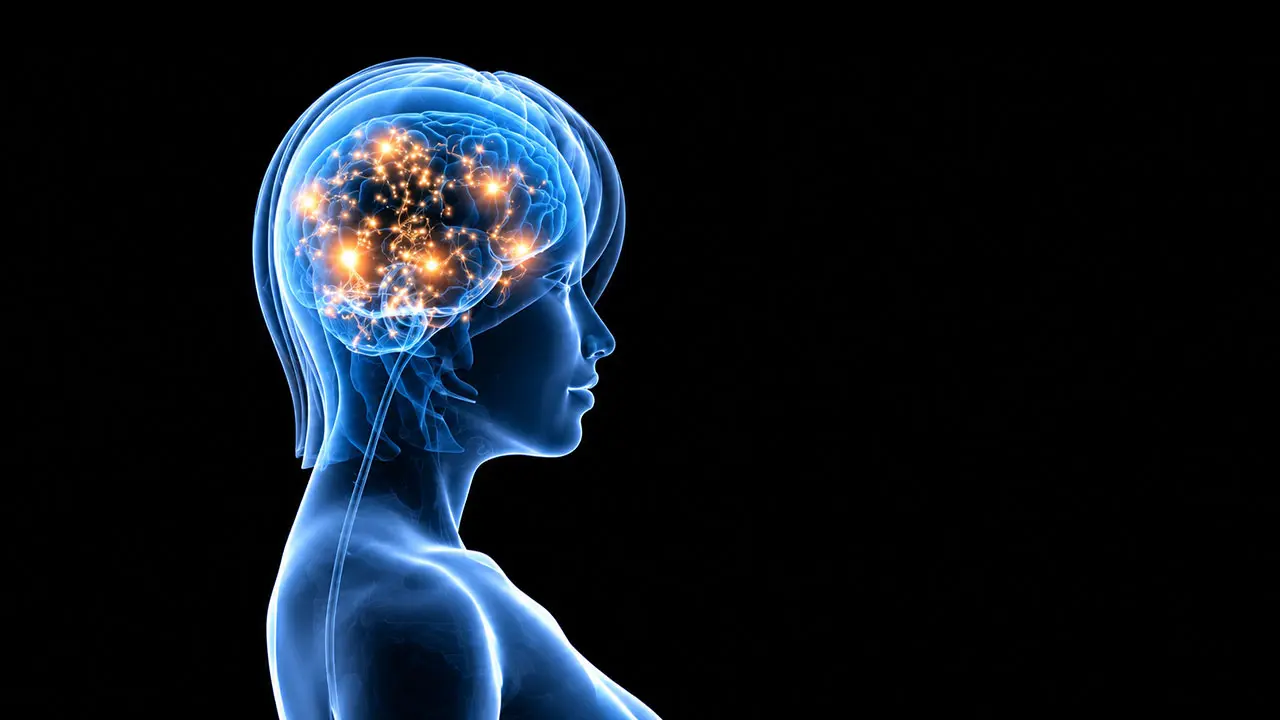 Chemo / Brain